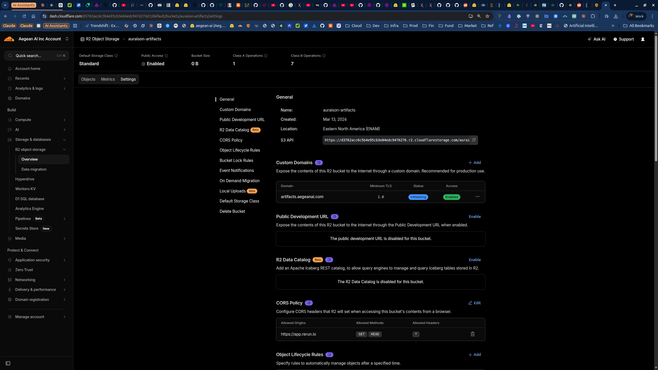 R2 bucket settings showing custom domain, CORS policy, and public access